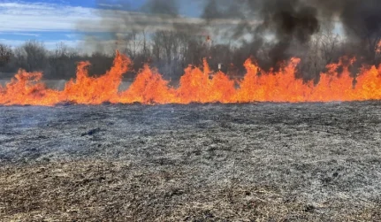 Prescribed Burns@1x